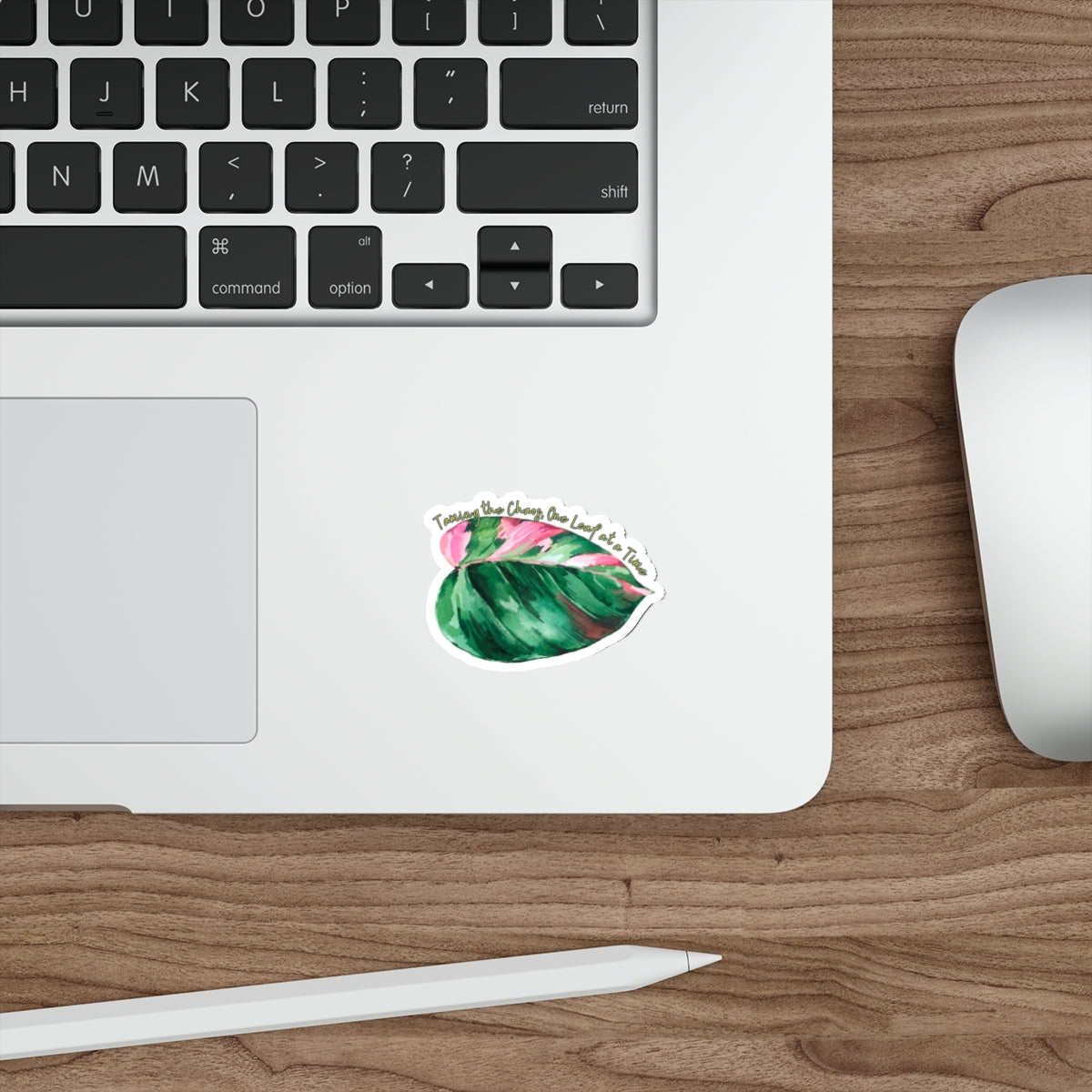 Taming the Chaos – Leaf Lounge Edition Die-Cut Stickers - Stick This Sticker Co LLC