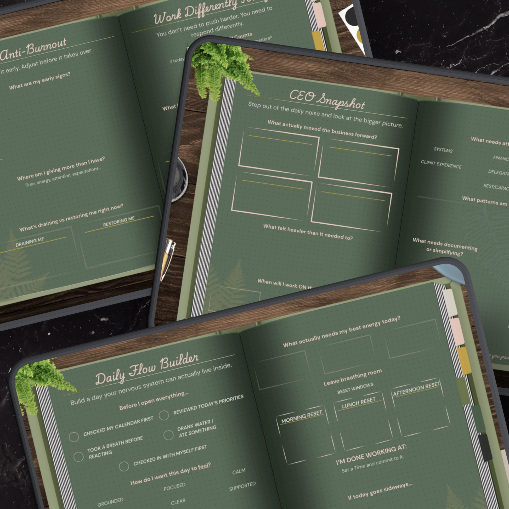 Anti-Burnout, CEO Snapshot, and Daily Flow Builder page spreads from the Business Ritual Reset journal