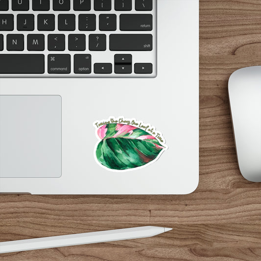 Taming the Chaos – Leaf Lounge Edition Die-Cut Stickers - Stick This Sticker Co LLC